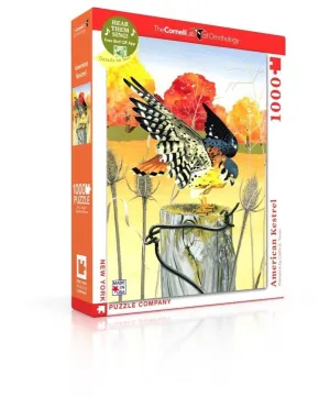 AMERICAN KESTREL 1000PC