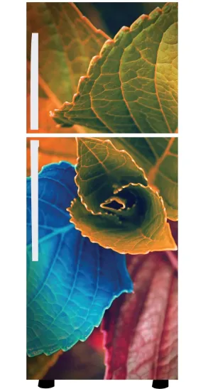 VVWV® Colorful Leaf Fridge Stickers for Refrigerator Self Adhesive Vinyl Single Double Door Living Bedroom Kitchen Decorative Sun Flower Vinyl Printed Decals L X H 61 X 152 Cms